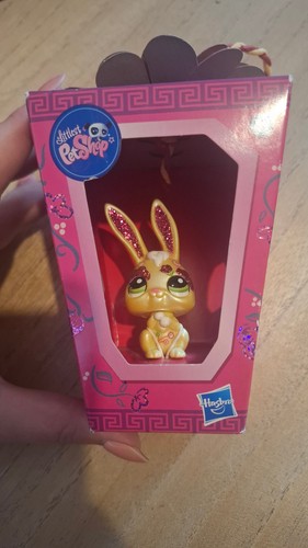 Petshop lapin nouvel - lapin,
