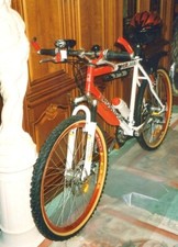 VTT POULIDOR MR 350 ROUGE