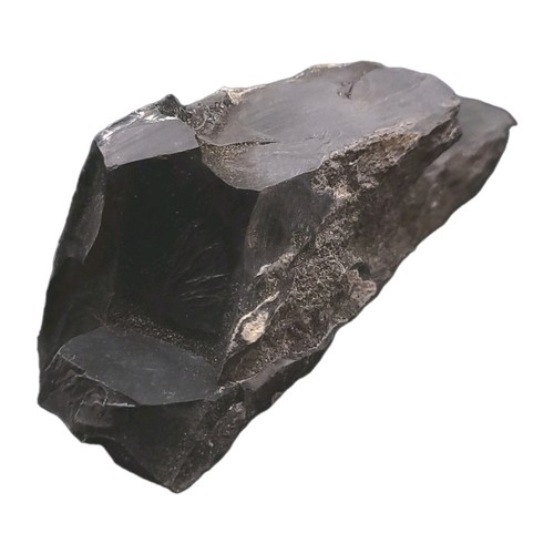 Jais brut fossile france aude - jais,