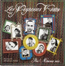 45 T SP  LES NEGRESSES VERTES