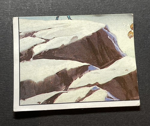 Carte panini thundercats - carte,