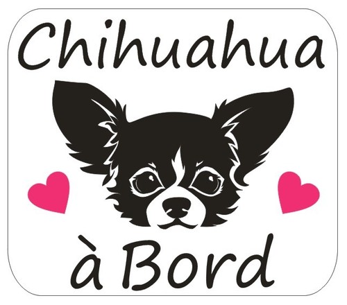 Sticker chihuahua à - sticker,