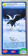 CARTE MERVEILLES DU MONDE - N° 4 PYGARGUE DE STELLER - DÉFIS NATURE - BIOVIVA !