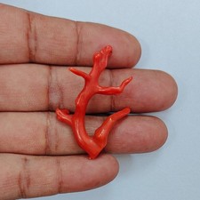 Belle branche brute de corail