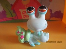 Petshop Bernard L'hermite