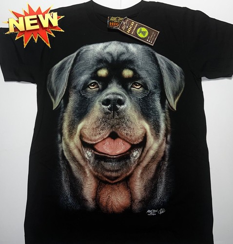 Rock chang big - chang,