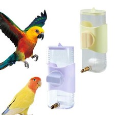 Mangeoire à eau pour oiseaux