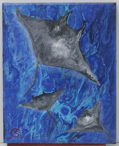 Peinture raie manta - la,