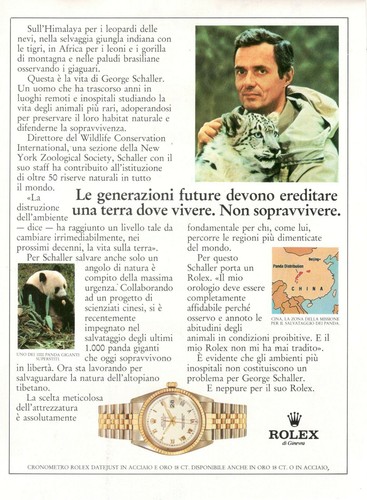 Rolex montre oyster perpetual - montre,