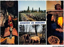 AFUP1-24-0004 - PERIGORD PITTORESQUE - Gaveuse d'oie - la recolte du tabac