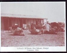 1984  --  SENEGAL  N'DOUK SINE SALOUM   CARAVANE 1906   X932