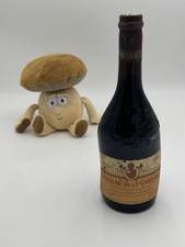 🌟chateau De La Gardine