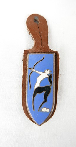 Insigne centre tir engins - de,