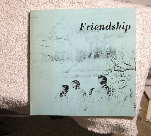 Friendship robert cummins - robert,