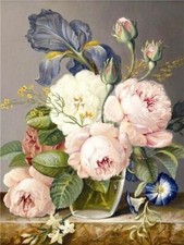 TOILE TABLEAUX  nature morte