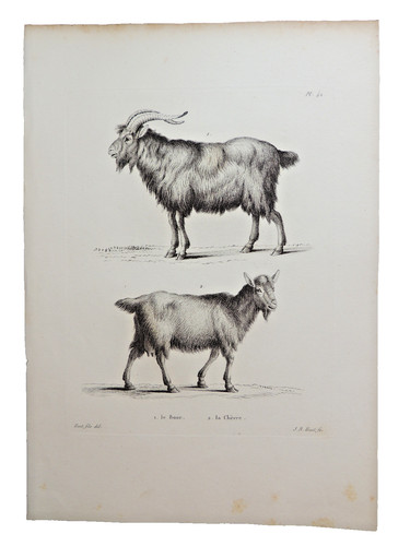 Gravure sur cuivre - de, huet