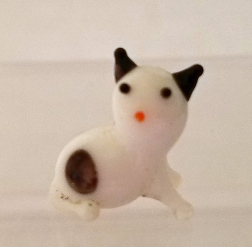 Miniature kitten white opaque - white,