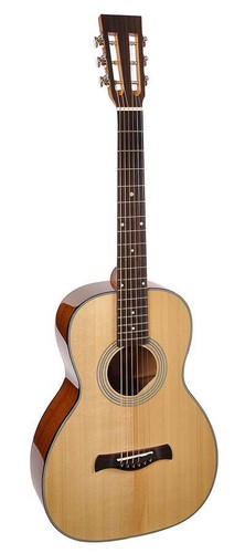 Guitare parlor richwood master - parlor,