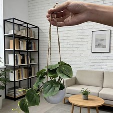 Plante Artificielle Réaliste