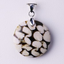 ★☆ PALÉTUVIER FOSSILE 24,41 CT - Pendentif argent - A24-181* ☆★