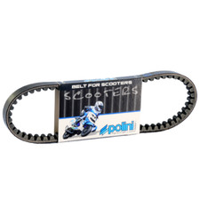 Courroie polini booster spirit