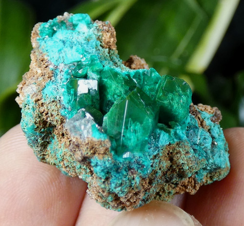 Dioptase cristallisée 3cm - cristallisÉe,
