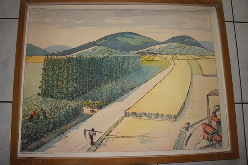 Ancienne affiche scolaire - ancienne,