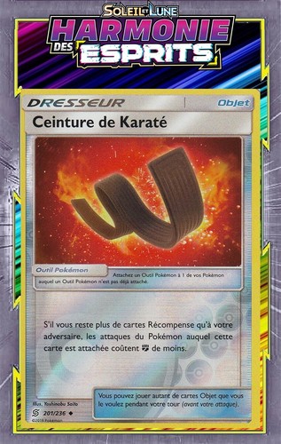 Ceinture karaté reverse - reverse,
