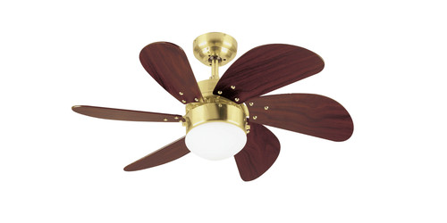 Ventilateur plafond avec