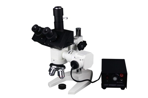 600 microscope - x,