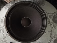 Altavoz de guitarra y voz