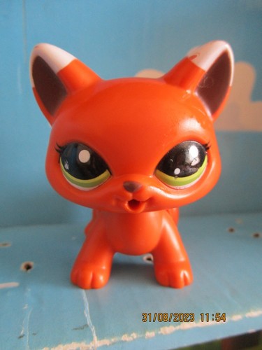 Petshop chat trotteur - chat,