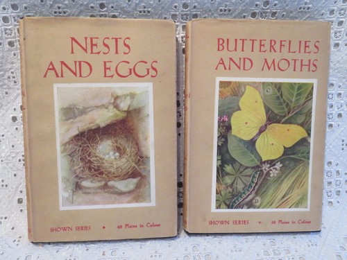 The shown series nests eggs - series,