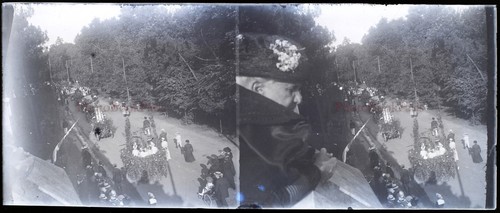 France carnaval chars fleuris - carnaval,