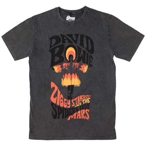 David bowie ziggy stardust - bowie,