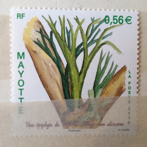 Mayotte num 236 - num,