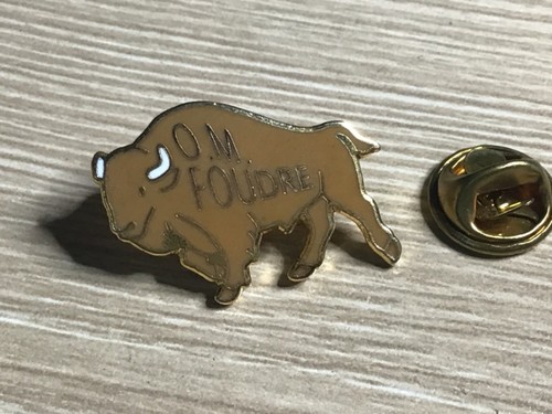 Pins foudre egf officiers - egf,