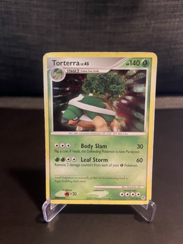 Pokémon tcg 2007 torterra - pokémon,