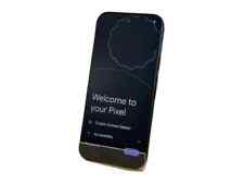 Google Pixel 9 (12 Go RAM) -