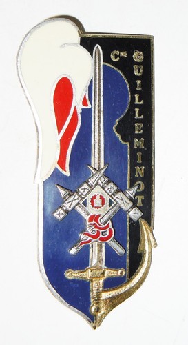 Insigne 162 promo esm cyr - promo,