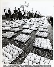 BIANCO, ROSSO E… 1972 VINTAGE PHOTO ORIGINAL #24 Alberto Lattuada eggs  oeufs