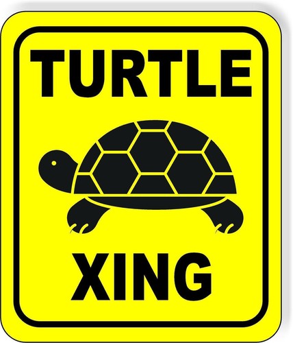 Turtle xing crossing safety - turtle,