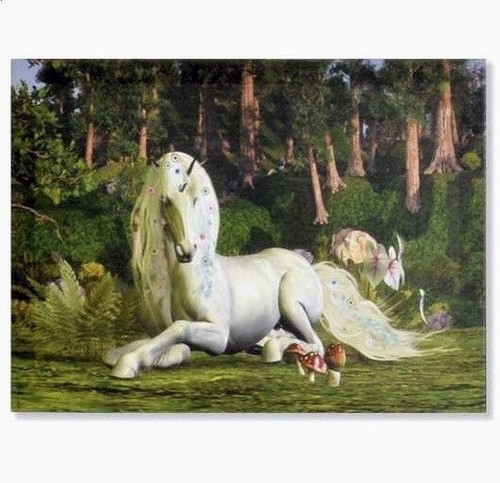 Cadre toile tableau licorne - cadre,