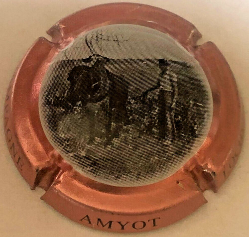 Capsule champagne amyot - capsule,