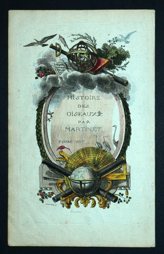 Page titre des - de, oiseaux