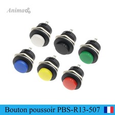 Bouton Poussoir de 13mm Momentané (PBS-R13-507) 2A 250V