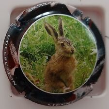 NEWS   CAPSULES DE CHAMPAGNE