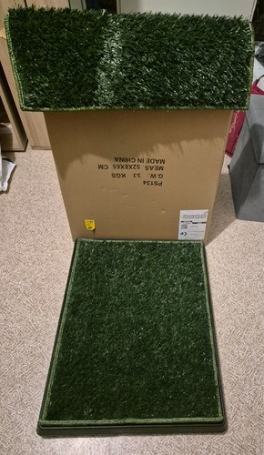 Litière pour chien