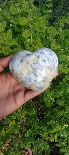 242g cœur opale fougère - opale,