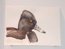 Fuligule à bec cerclé AQUARELLE ORIGINALE Portrait d'oiseau Canard Peinture